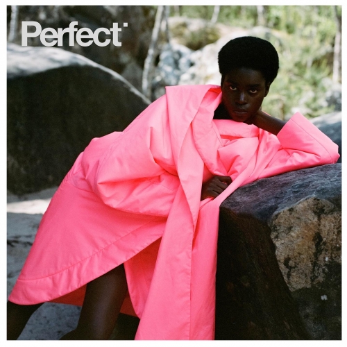 PERFECT MAGAZINE issue 1